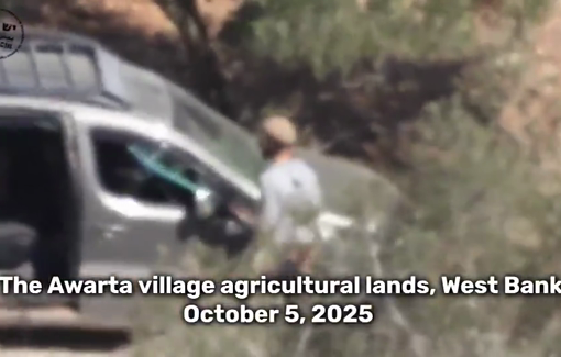 Thumbnail preview image for the video titled: Settlers stealing olive crops from the lands of Awarta