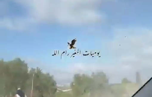 Thumbnail preview image for the video titled: The moment a settler violently attacked a Palestinian woman collecting olives in Turmus Ayya,