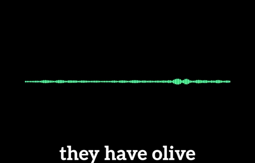 Thumbnail preview image for the video titled: Settlers are hunting Palestinians in Turmus Ayya; the village could be overrun