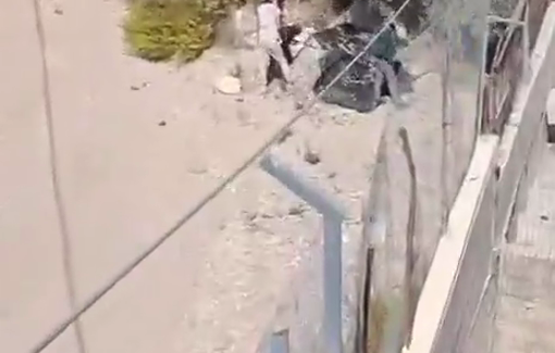 Thumbnail preview image for the video titled: Israeli settlers stole olives from trees in front of a house in the village of Burin