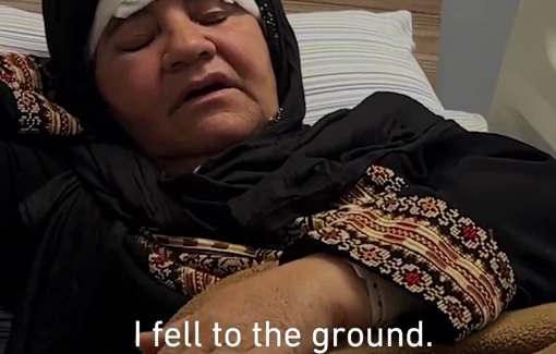 Thumbnail preview image for the video titled: Afaf Abu Alia recounts the moment Israeli settlers violently beat her as she was picking olives