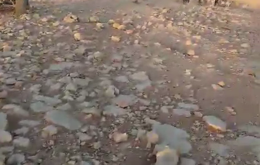 Thumbnail preview image for the video titled: Israeli settler chases Palestinian family tending livestock in Khirbet al-Tuba