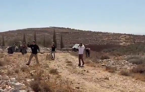 Thumbnail preview image for the video titled: Settlers sprayed toxic gas at farmers and activists while harvesting olive crops in the fields of Kafr Malik