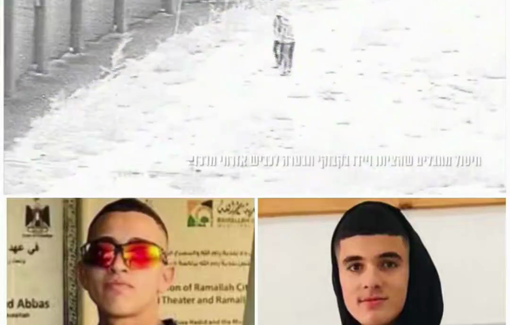 Thumbnail preview image for the video titled: The moment the Israeli army executed the two children near the separation wall in Al-Judeira