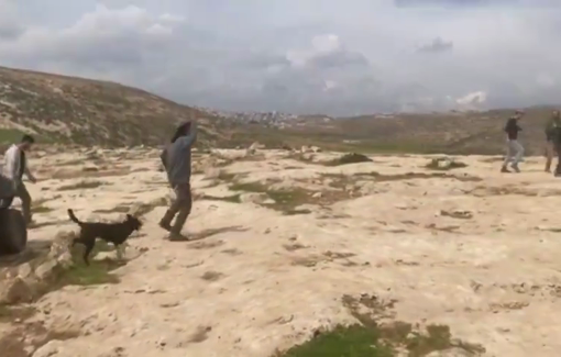 Thumbnail preview image for the video titled: The settlers rushed into Wadi Tiran on an ATV, armed with rifles, dancing and drinking alcohol