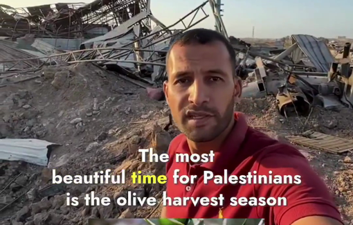 Thumbnail preview image for the video titled: Israel completely destroyed olive press and farm lands in Gaza