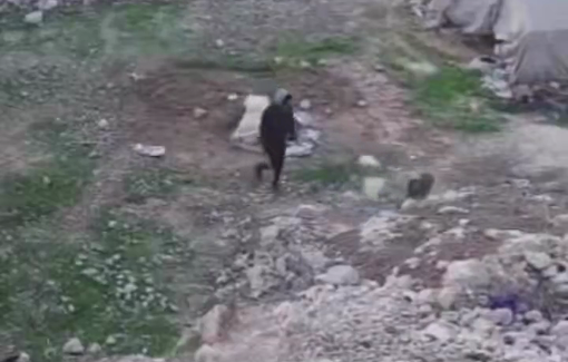 Thumbnail preview image for the video titled: Israeli settlers steal a donkey of a Palestinian family in wadi al Rakhim near Susya village in Masafer Yatta