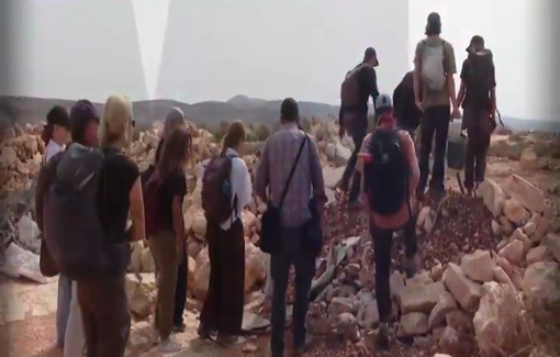 Thumbnail preview image for the video titled: International volunteers harvest olives on Palestinian farmers’ land in Kafr Malik