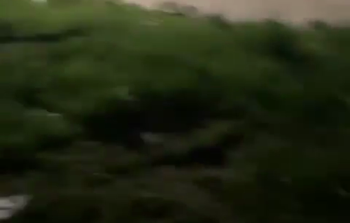 Thumbnail preview image for the video titled: A Palestinian vehicle was shot by Israeli forces killing one and injuring 3 South of Nablus