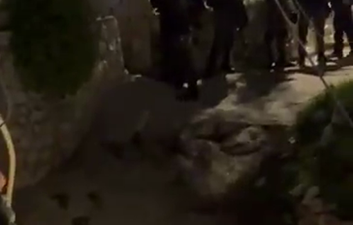 Thumbnail preview image for the video titled: Settlers seized the Basbous family home immediately after its evacuation in the Batn al-Hawa neighborhood of Silwan