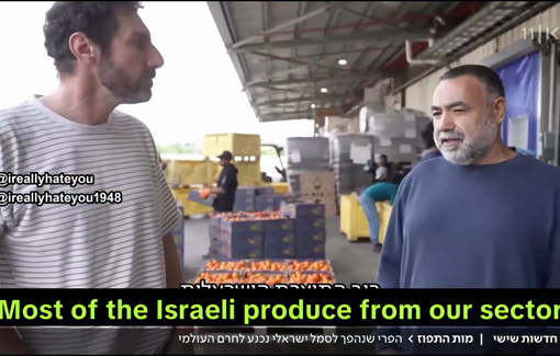 Thumbnail preview image for the video titled: The collapse of the Israeli citrus industry due to international boycott