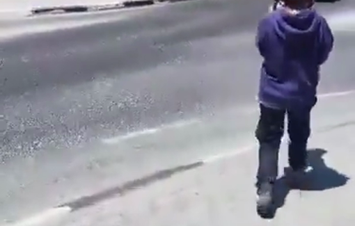 Thumbnail preview image for the video titled: The settler Amos Azaria brought his little kid to harass activist and Palestinian in Za'tara Junction