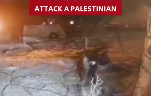 Thumbnail preview image for the video titled: The horrifying assault on Abu Ayoub in the village of Fakheit, as captured by security cameras