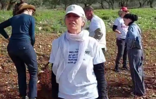 Thumbnail preview image for the video titled: The Israeli police and the army preventing human rights activists from reaching the area and planting olive tree