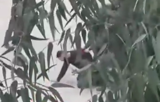 Thumbnail preview image for the video titled: The moment a young man was detained by Israeli forces during a raid on the town of Kafr Malik Jan 30