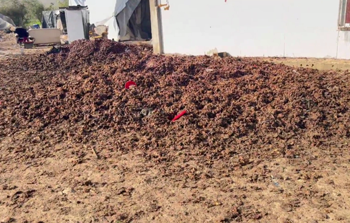 Thumbnail preview image for the video titled: Settlers dumped rotten dates at his doorstep, making sleep impossible due to the stench and mosquitoes.