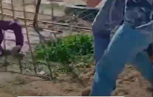 Thumbnail preview image for the video titled: An Israeli settler violently attacked an international solidarity activist and pushed her to the ground during the rampage on Shakara community