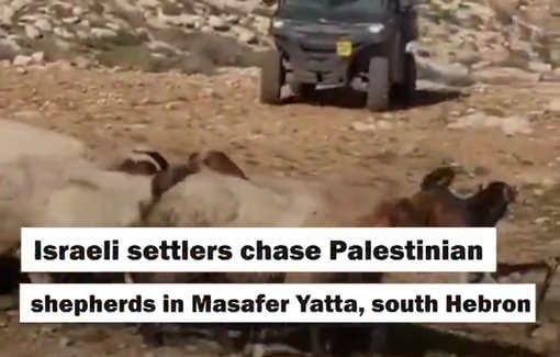 Thumbnail preview image for the video titled: Israeli settlers chased Palestinian shepherds in the “Rujum I’la” and “Khalat Amira” areas of Masafer Yatta, south of Hebron