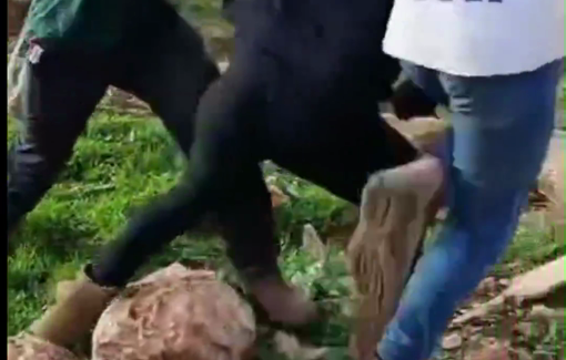 Thumbnail preview image for the video titled: Multiple Settlers incurred into the Bedouin compound in Duma and assaulted activists