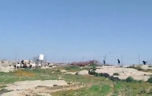 Thumbnail preview image for the video titled: In Masafer Yatta settlers threw stones after invading a family's yard