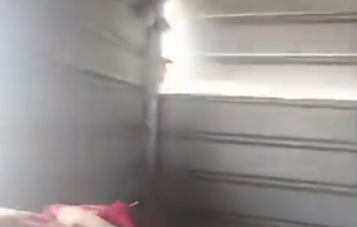 Thumbnail preview image for the video titled: Settlers from the illegal outpost “Giborei David” attacked peace activists and Palestinians from the Bedouin community