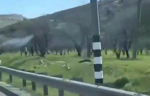 Thumbnail preview image for the video titled: Israeli settler groups erect a fence on the lands of Wadi Ali in the town of Al-Lubban Al-Sharqiya