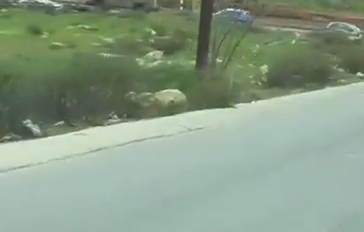 Thumbnail preview image for the video titled: Israeli bulldozers razed Palestinian-owned lands at the northern entrance to Al-Birah City