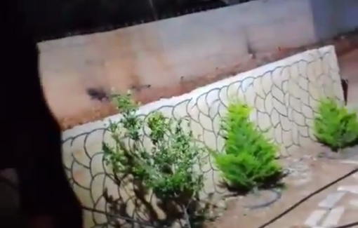 Thumbnail preview image for the video titled: Documentation of constant settler harassment in Qusra after a new outpost was established.”