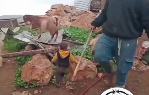 Thumbnail preview image for the video titled: A settler stopped kicking a baby with a stick when he saw he was being filmed