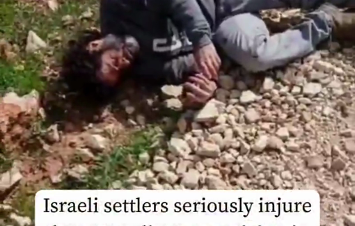 Thumbnail preview image for the video titled: Armed and masked Israeli settlers violently attacked three Israeli activists in the Palestinian village of Qusra