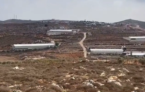 Thumbnail preview image for the video titled: Israeli settlers indiscriminately opened fire on Qusra killing 3 Palestinians, injuring dozens