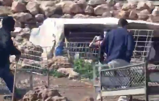 Thumbnail preview image for the video titled: Pogrom in Duma where baton-armed settlers chase down the solidarity activists and the Palestinian residents