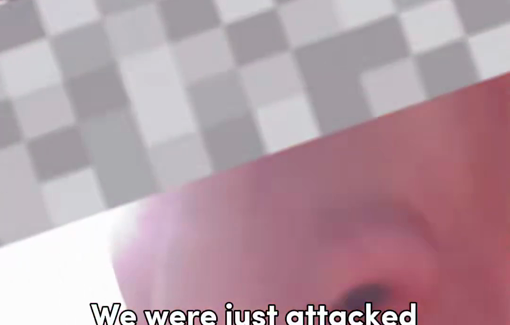 Thumbnail preview image for the video titled: Israeli tiktokers Roi Star and Mordechai David assulting activists in Duma