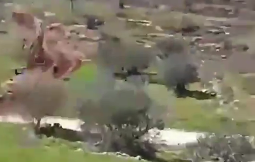 Thumbnail preview image for the video titled: Israeli settlers open fire at Palestinian youths in the village of Qaryut, south of Nablus