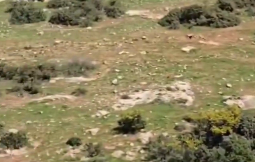 Thumbnail preview image for the video titled: Pogrom by settlers and soldiers in Al-Aqaba communities: herds were seized, horses stolen, homes, cars and solar panels vandalized