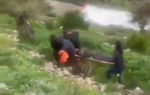 Thumbnail preview image for the video titled: Footage of the rescue of the Sherman brothers contradicting the version of a terrorist attack