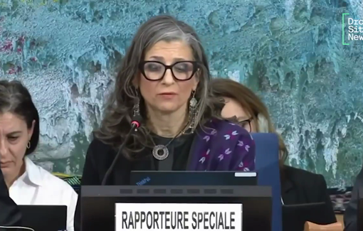 Thumbnail preview image for the video titled: Franceska Albanese reading torture testimonies of Palestinian detainees