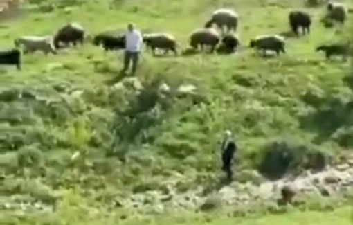 Thumbnail preview image for the video titled: Israeli settlers gather to provoke residents in the Al-Ain area of Yabroud village, east of Ramallah.