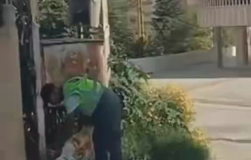 Thumbnail preview image for the video titled: Civil defense teams in the Hosh neighborhood of Tyre, Lebanon, spread food for hungry animals