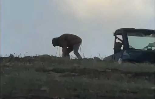 Thumbnail preview image for the video titled: Moshe Sharvit from the illegal outpost "Emek Tirtza Farm" arrived to scare off a Palestinian herd from the pasture in Al-Hamra
