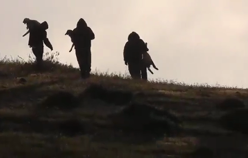 Thumbnail preview image for the video titled: Four Israeli settlers carrying out sheep they stole from the Khirbet a-Tuwani after beating and injuring a 5-year-old Palestinian child.