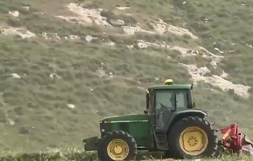 Thumbnail preview image for the video titled: Israeli settlers harvested a Palestinian field in broad daylight in Wadi Tirān in the southern Hebron Hills