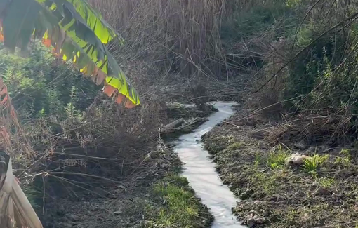 Thumbnail preview image for the video titled: A chemical plant in Netanya was so poisonous that it was moved to the West Bank