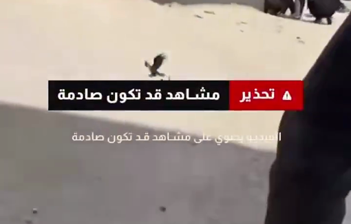 Thumbnail preview image for the video titled: CNN montage on the settler attack on Boy school in Al Mughayyir