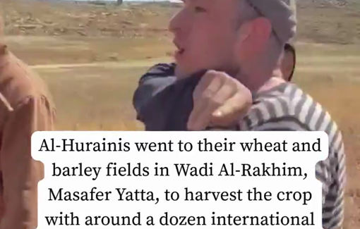 Thumbnail preview image for the video titled: Chased off their land, farmers in Wadi Al-Rakhim were finally able to reap their crops, but only by sheer luck