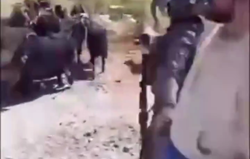 Thumbnail preview image for the video titled: Israeli settlers, backed by Israeli forces, loot the Palestinian herd in the villages of Abwein, Sinjil, and Jiljilia