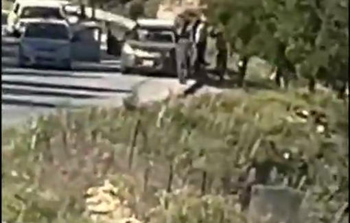 Thumbnail preview image for the video titled: Israeli settler stole a herd belonging to a local Palestinian family after raiding a home in the town of Sinjil
