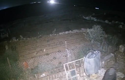 Thumbnail preview image for the video titled: Settlers from "Droma" illegal outpost attacked Palestinian residents and solidarity activists in Umm Darit