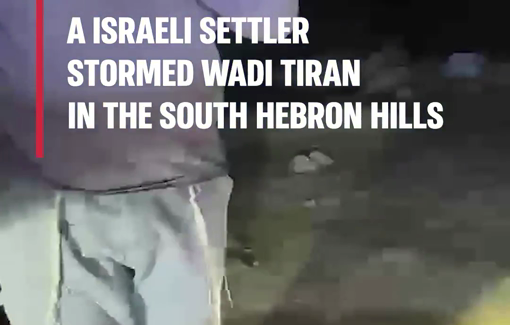 Thumbnail preview image for the video titled: In three days straight of harassment starting May 10, a settler repeatedly intruded into the community of Wadi Tiran in the South Hebron Hill