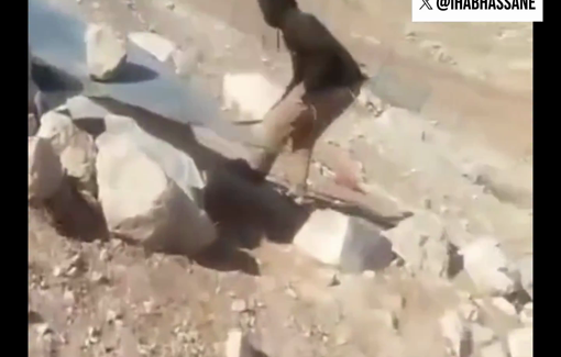 Thumbnail preview image for the video titled: An Israeli settler beating a dog in Khirbat al-Markaz in Masafer Yatta